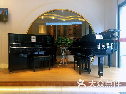 延英琴行课程 价格 简介 怎么样 上海学习培训