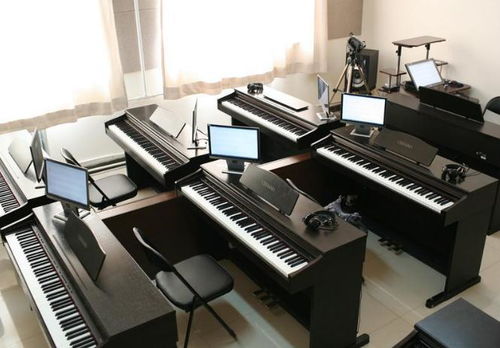 彩虹琴行招商加盟 加盟费用 代理条件 电话 中教招商网