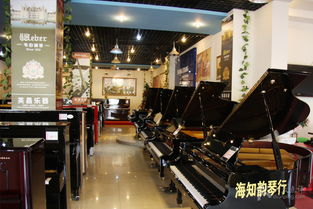 海知韵琴行 海知韵琴行,安徽合肥最大的琴行图片 合肥学习培训