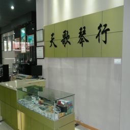 天歌琴行招商加盟 加盟费用 代理条件 电话 中教招商网